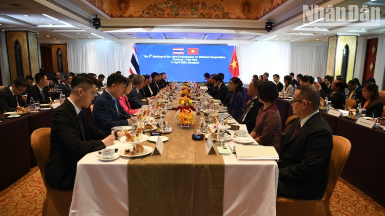 Общий вид сессии. Общий вид сессии.