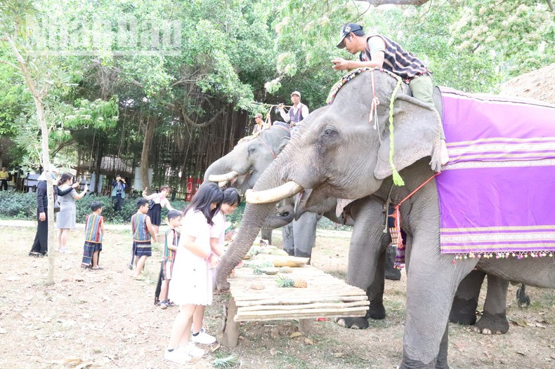 Дети любят кормить слонов. Дети любят кормить слонов.