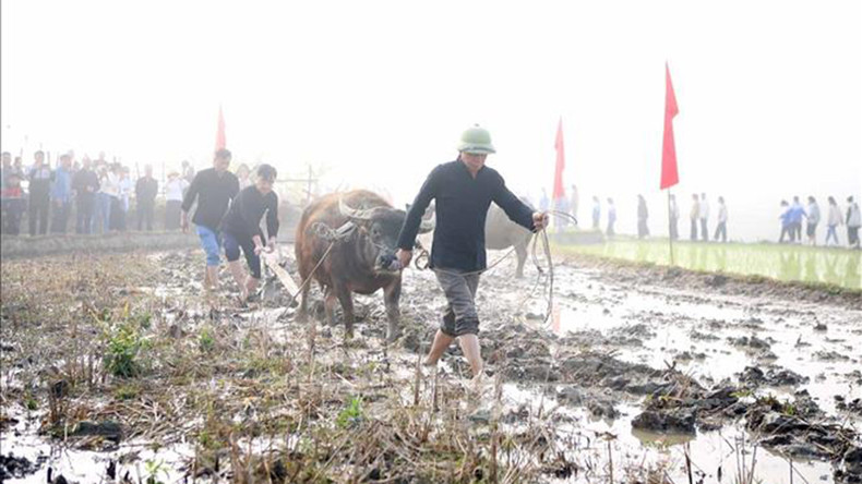 Представители местных властей и местные жители пашут поле. Фото: ВИА Представители местных властей и местные жители пашут поле. Фото: ВИА
