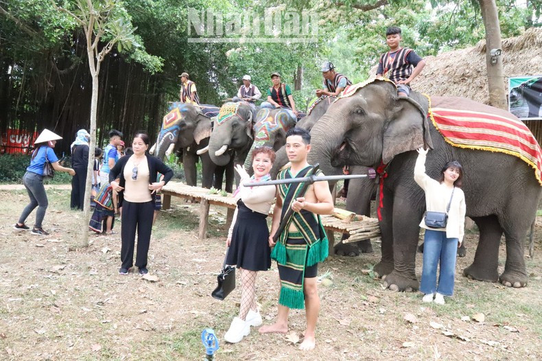 Посетители туристического центра подвесного моста Буондон постепенно привыкали к туризму, дружелюбному к слонам. Посетители туристического центра подвесного моста Буондон постепенно привыкали к туризму, дружелюбному к слонам.