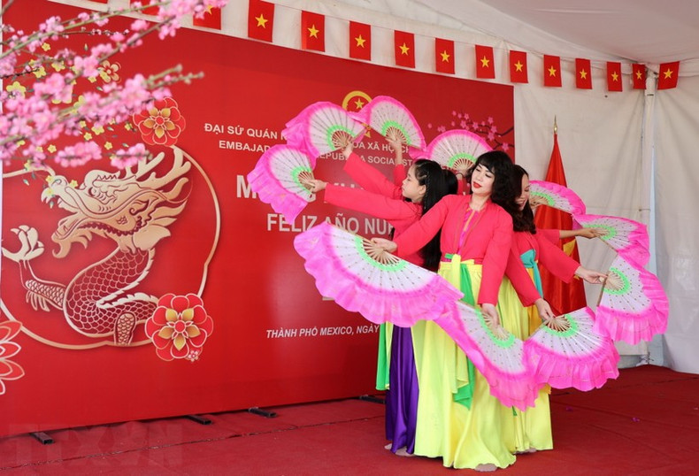 Художественный номер вьетнамских женщин в Мексике. Фото: ВИА