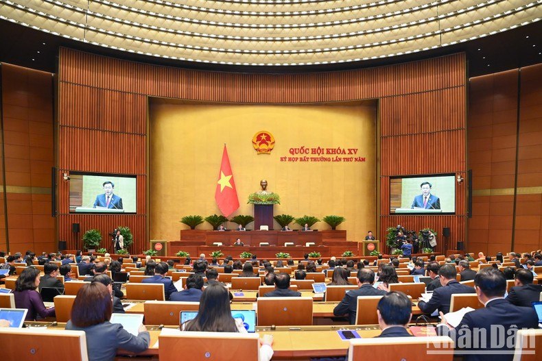 Общий вид сессии. Общий вид сессии.