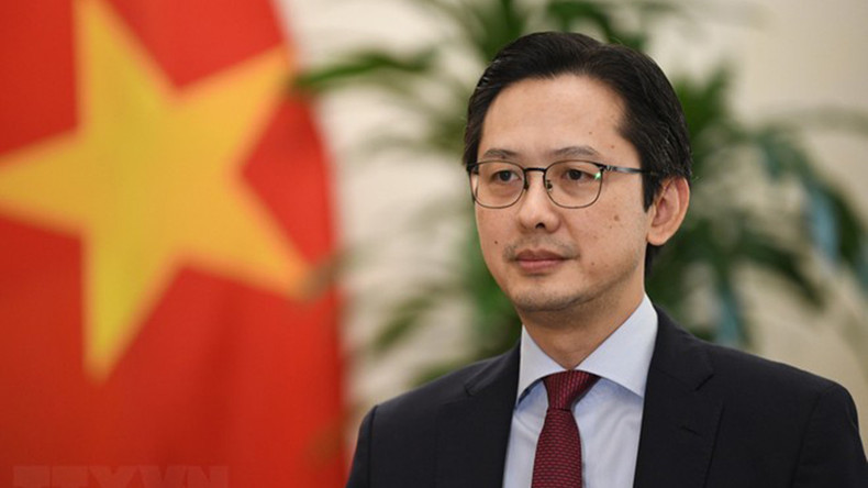 Заместитель министра иностранных дел Вьетнама До Хунг Вьет. Фото: ВИА Заместитель министра иностранных дел Вьетнама До Хунг Вьет. Фото: ВИА