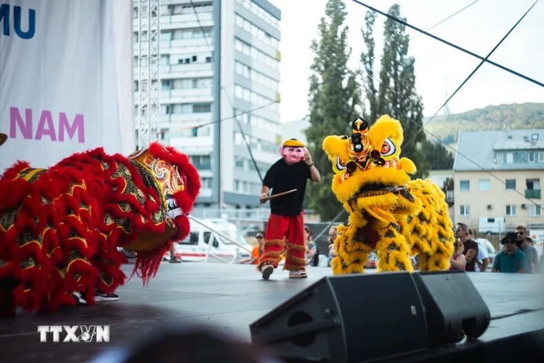 Художественный номер в исполнении вьетнамцев. Фото: ВИА