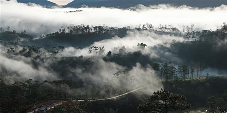 Далат окружен лесами, покрытыми облаками, а также стал популярным благодаря турам «охоты на облака», очень привлекательным для туристов в последние годы. (Фото: ВИА) Далат окружен лесами, покрытыми облаками, а также стал популярным благодаря турам «охоты на облака», очень привлекательным для туристов в последние годы. (Фото: ВИА)