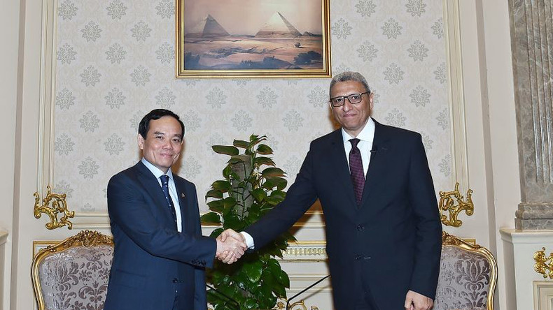 Вице-премьер Чан Лыу Куанг и Первый зампредседателя Палаты представителей Египта Ахмед Саад Эль-Дин Мохамед Абд Эль-Рехим. Фото: МИД Вьетнама