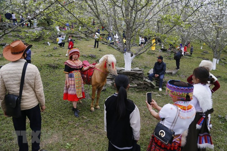 Многие туристы приезжают, чтобы полюбоваться цветами груши и сделать фотографии.