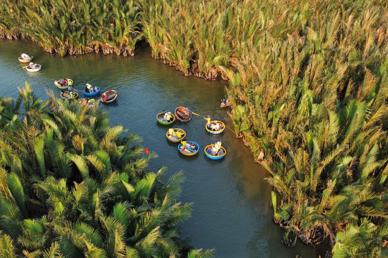 Тур по посещению леса мангровых зарослей является одним из самых популярных туров в Куангнаме. Фото: Зюи Хау Тур по посещению леса мангровых зарослей является одним из самых популярных туров в Куангнаме. Фото: Зюи Хау