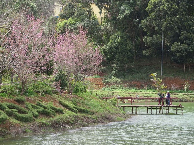 Туристы смотрят на цветы на озере Дакке.