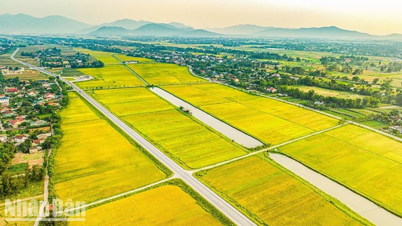 Образ сельской местности также полон жизненных сил.