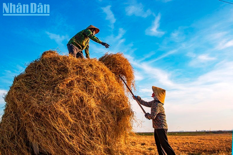 ...и собирают все плоды золотого сезона.