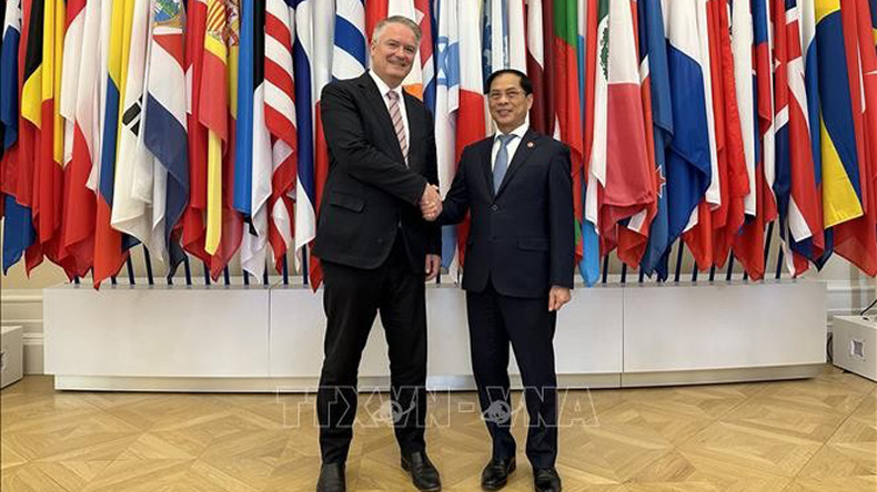 Министр иностранных дел Буй Тхань Шон и Генеральный секретарь ОЭСР Матиас Корманн. Фото: ВИА Министр иностранных дел Буй Тхань Шон и Генеральный секретарь ОЭСР Матиас Корманн. Фото: ВИА