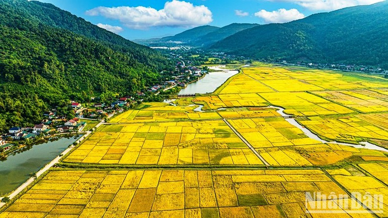 Желтый цвет становится основным цветом на дорогах земли Нге.