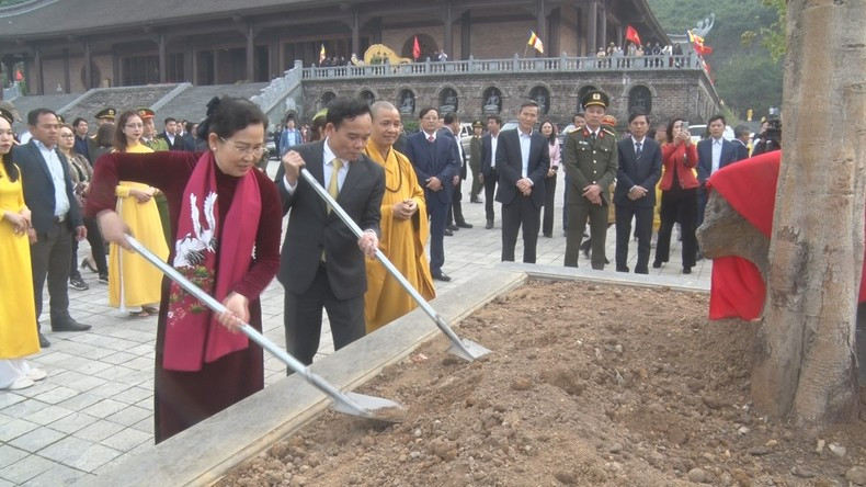 Вице-премьер Чан Лыу Куанг сажает дерево на территории пагоды Тамтьук. Вице-премьер Чан Лыу Куанг сажает дерево на территории пагоды Тамтьук.