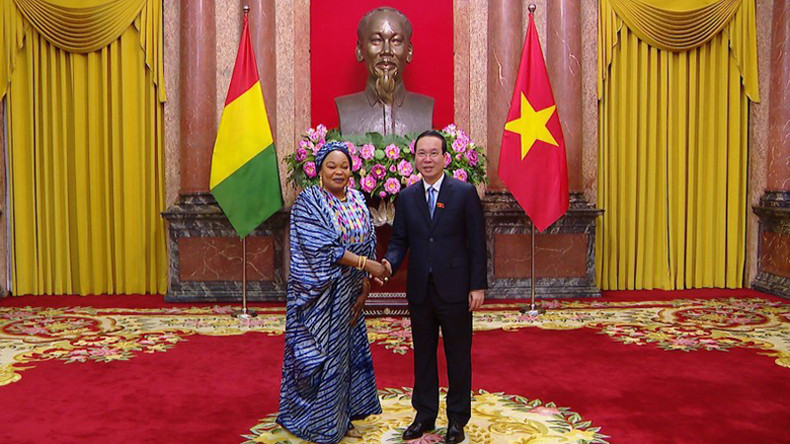 Президент Во Ван Тхыонг принимает Посла Гвинеи. Фото: Хонг Куан Президент Во Ван Тхыонг принимает Посла Гвинеи. Фото: Хонг Куан