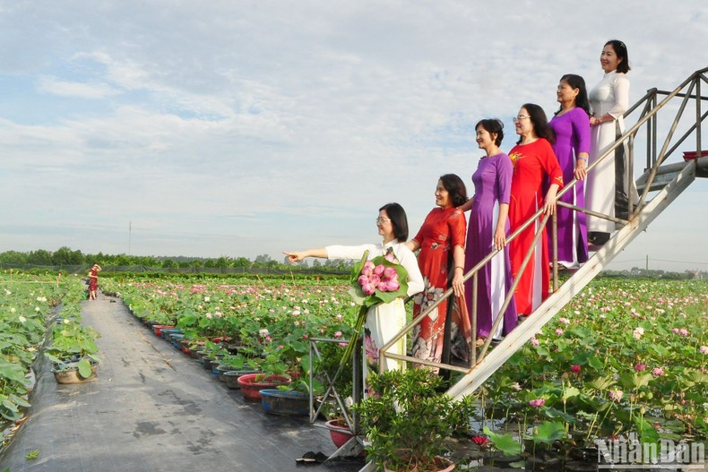 По данным правления кооператива Вандай, с июня начинается время, когда сюда приходит большое количество туристов.