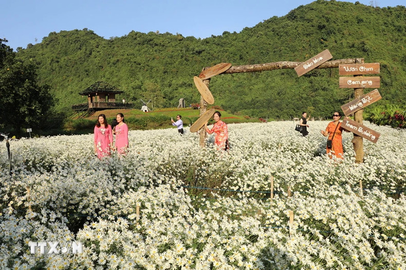 Посетители на поле в зоне экотуризма Тхунгням (уезд Хоалы, провинция Ниньбинь). Фото: ВИА Посетители на поле в зоне экотуризма Тхунгням (уезд Хоалы, провинция Ниньбинь). Фото: ВИА