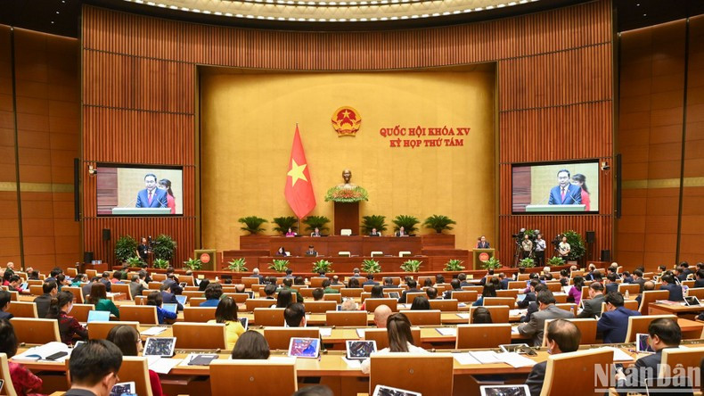 Общий вид сессии. Фото: Зюи Линь