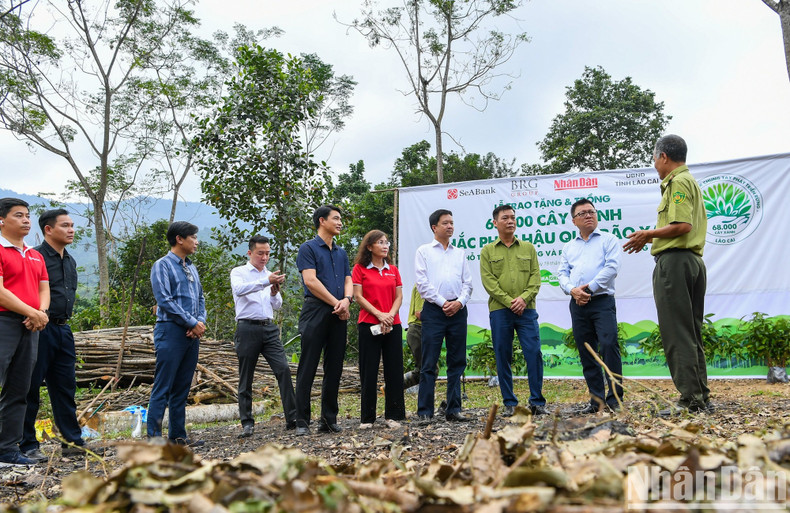 Товарищ Ле Куок Минь и члены рабочей делегации беседуют с лесниками провинции Лаокай перед посадкой деревьев.