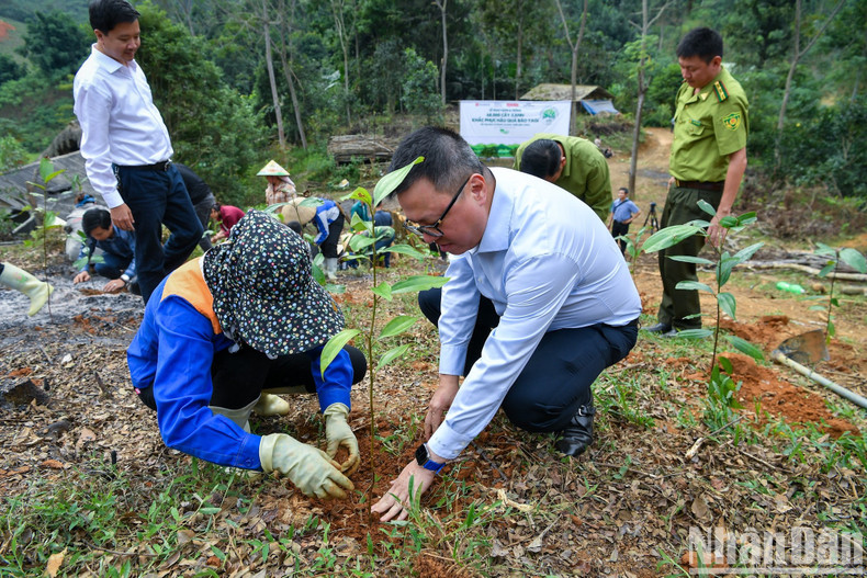 Товарищ Ле Куок Минь участвует в посадке деревьев вместе с жителями деревни Ну.
