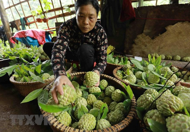 Фото: ВИА Фото: ВИА