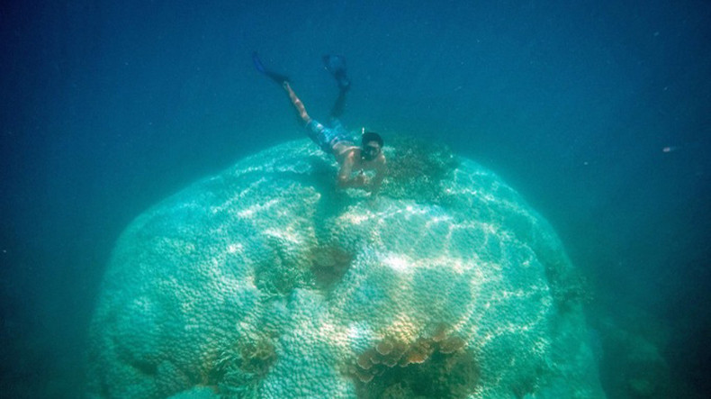 Лучшее время для подводного плавания на Кондао – с марта по сентябрь. Лучшее время для подводного плавания на Кондао – с марта по сентябрь.