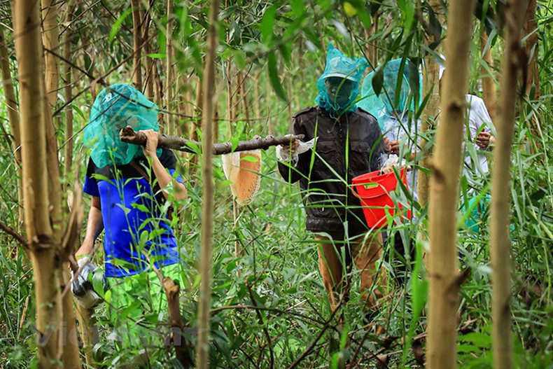 На протяжении поколений пчеловодство является уникальной профессией, создающей столетний бренд жителей в самой южной части страны.