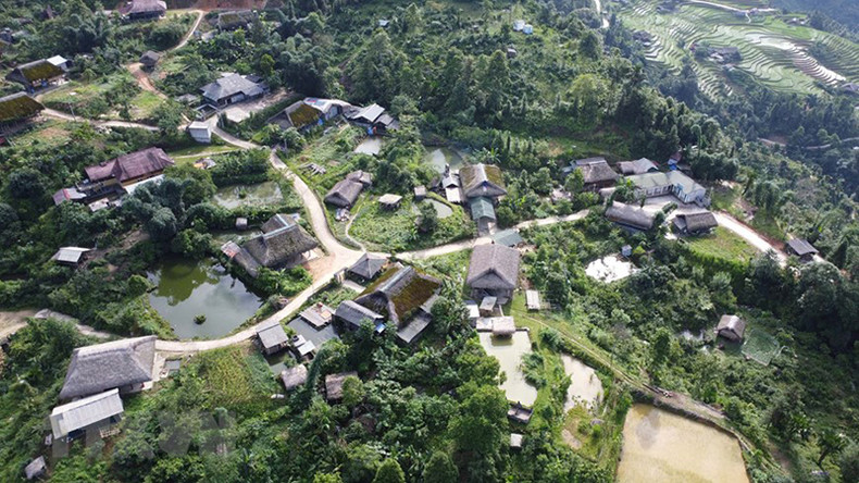 Покрытые мхом дома с пальмовыми крышами являются изюминкой селения Сафин. Покрытые мхом дома с пальмовыми крышами являются изюминкой селения Сафин.