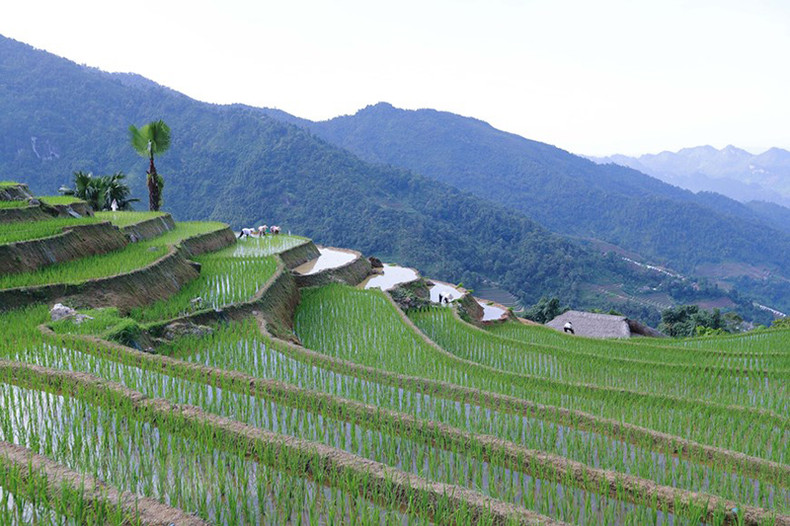 Это привлекательное место для любителей исследования природы. Это привлекательное место для любителей исследования природы.
