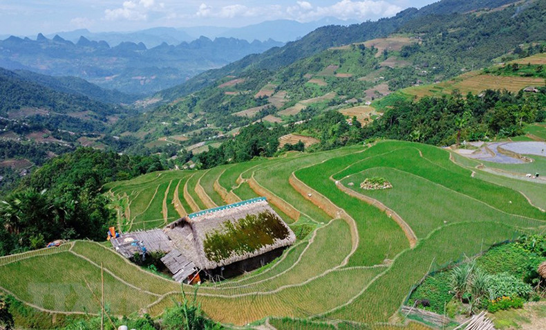Селение Сафин утопает в зелени. Селение Сафин утопает в зелени.