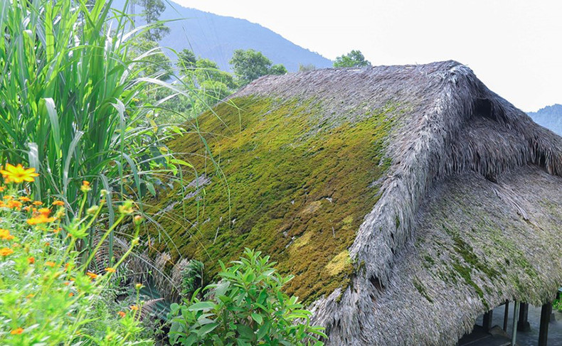 Из-за прохладного климата и высокой влажности крыши домов здесь покрыты мхом. Из-за прохладного климата и высокой влажности крыши домов здесь покрыты мхом.