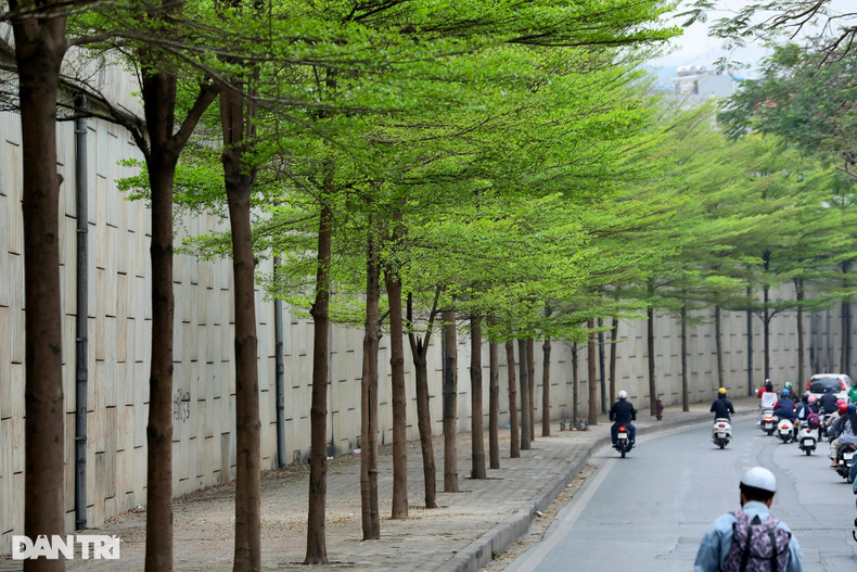 По берегам реки Толить вдоль улицы Быой высажены ряды зеленых деревьев. По берегам реки Толить вдоль улицы Быой высажены ряды зеленых деревьев.
