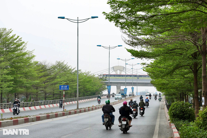 Снимок сделан на дороге, ведущей к эстакаде Каужай, вдали видна городская надземная железнодорожная система Ньон-Ханой. На улице Ванкао района Бадинь распускаются цветы баухинии. Снимок сделан на дороге, ведущей к эстакаде Каужай, вдали видна городская надземная железнодорожная система Ньон-Ханой. На улице Ванкао района Бадинь распускаются цветы баухинии.