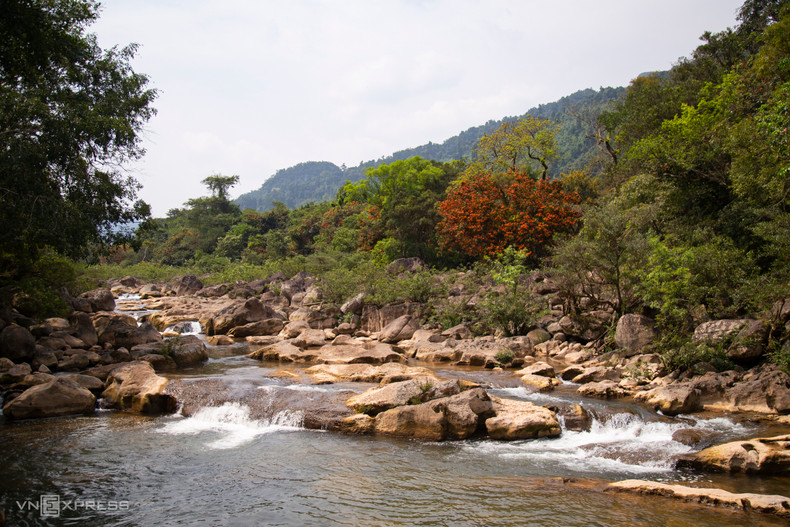 Ручей Моок расположен в нетронутой природной зоне недалеко от известных туристических достопримечательностей, таких как национальный парк, пещеры Фонгня и Тхиендыонг. Ручей Моок расположен в нетронутой природной зоне недалеко от известных туристических достопримечательностей, таких как национальный парк, пещеры Фонгня и Тхиендыонг.