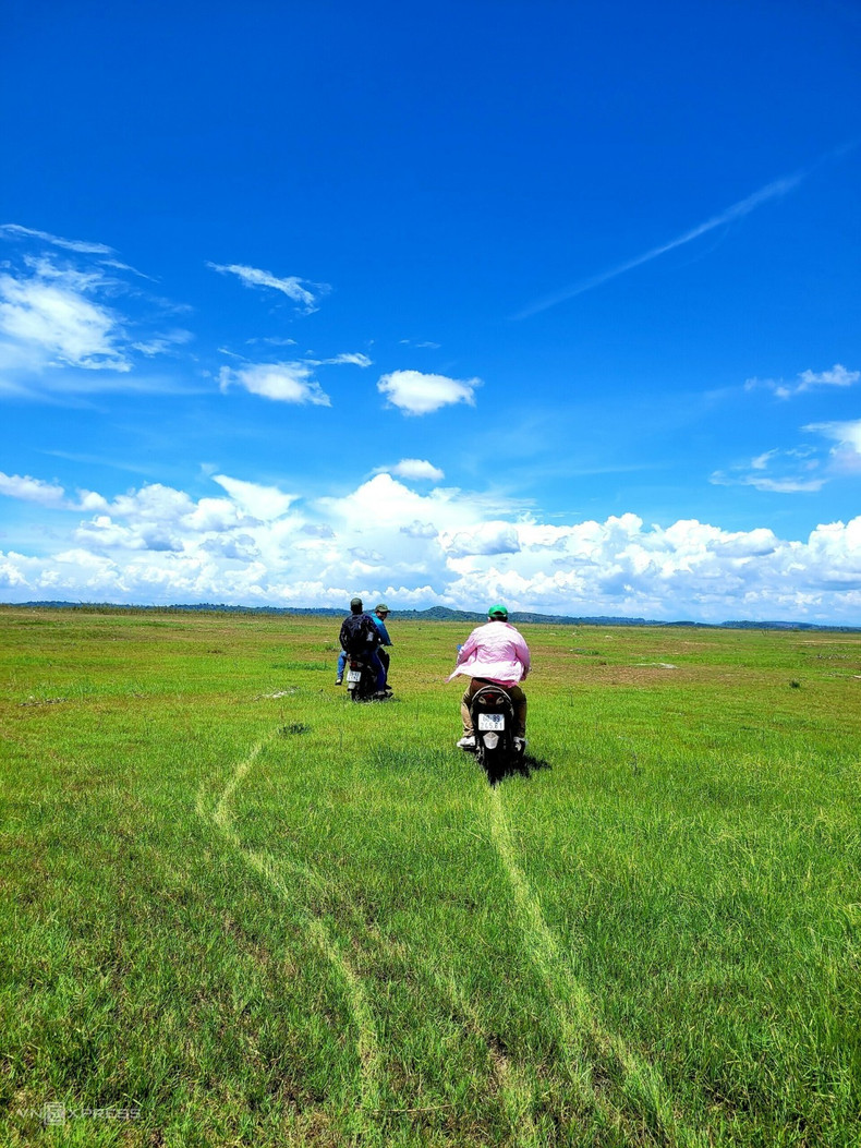 Сейчас озеро пересохло. В некоторых участках образовались большие зеленые степи, которые стали местом отдыха для многих посетителей провинции Донгнай. Сейчас озеро пересохло. В некоторых участках образовались большие зеленые степи, которые стали местом отдыха для многих посетителей провинции Донгнай.