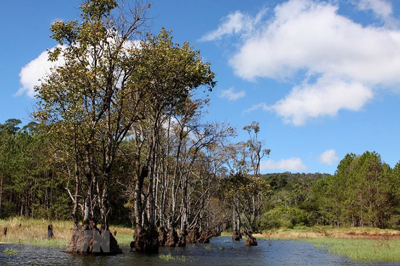 Озеро Туенлам площадью более 350 га, расположенное между зелеными сосновыми лесами и богатой растительностью, является местом назначения многих туристов. Фото: ВИА Озеро Туенлам площадью более 350 га, расположенное между зелеными сосновыми лесами и богатой растительностью, является местом назначения многих туристов. Фото: ВИА