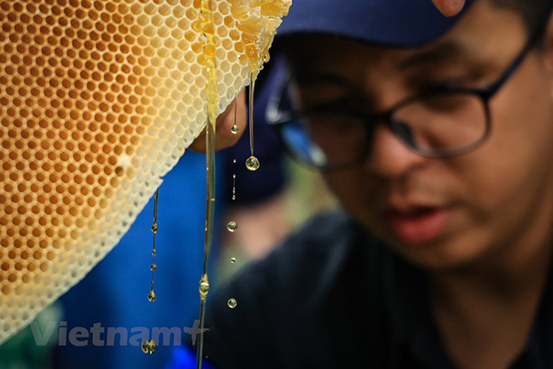 Характерный аромат натурального сладкого меда всегда обладает непреодолимой притягательной силой.