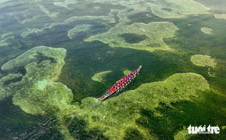 Гоночная лодка скользит по великолепному рифу.