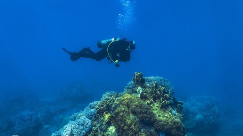 Лучшее время для дайвинга в Нячанге – с февраля по октябрь. Лучшее время для дайвинга в Нячанге – с февраля по октябрь.