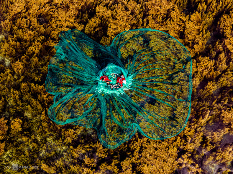 Сезон саргассума проходит с мая до конца июля, создавая экосистему для размножения рыб, креветок, морских черепах и планктона. Сезон саргассума проходит с мая до конца июля, создавая экосистему для размножения рыб, креветок, морских черепах и планктона.