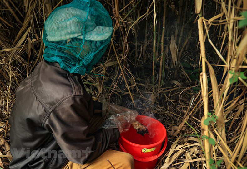 Перед тем, как отправиться на пасеку, пчеловод разжигает дымар, берет с собой острый нож, большое ведро и защитную сетку.