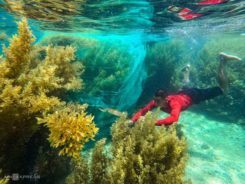 Ныряние под водой посреди леса водорослей является любимым занятием туристов и местных жителей. Ныряние под водой посреди леса водорослей является любимым занятием туристов и местных жителей.