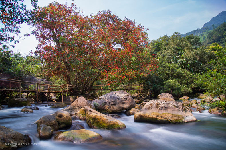Сарака распускается вдоль ручья Моок примерно на километр. Из-за известняковой почвы вода в этом районе имеет изумрудный цвет. Сарака распускается вдоль ручья Моок примерно на километр. Из-за известняковой почвы вода в этом районе имеет изумрудный цвет.