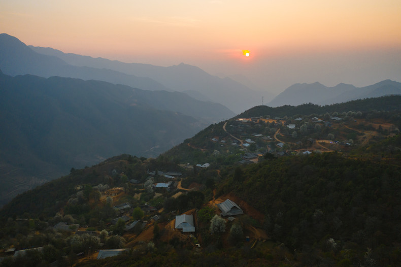 Посетители предпочитают любоваться цветами ранним утром или на закате. Посетители предпочитают любоваться цветами ранним утром или на закате.