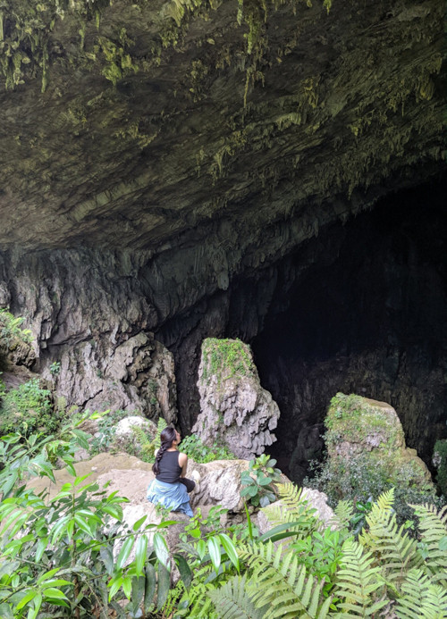 Вход в пещеру Зой Кхомыонг. Фото: vnexpress.net Вход в пещеру Зой Кхомыонг. Фото: vnexpress.net