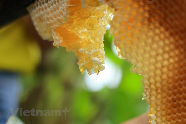 Чистый, натуральный мед без отслоек и осадка.