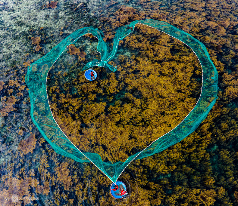 Островок Хонкхо в общине Ньонхай, расположенный в 18 км к северу от центра города Кюиньон, славится своими прибрежными коралловыми рифами и красивыми коврами саргассума, завораживающими туристов и фотографов. Островок Хонкхо в общине Ньонхай, расположенный в 18 км к северу от центра города Кюиньон, славится своими прибрежными коралловыми рифами и красивыми коврами саргассума, завораживающими туристов и фотографов.