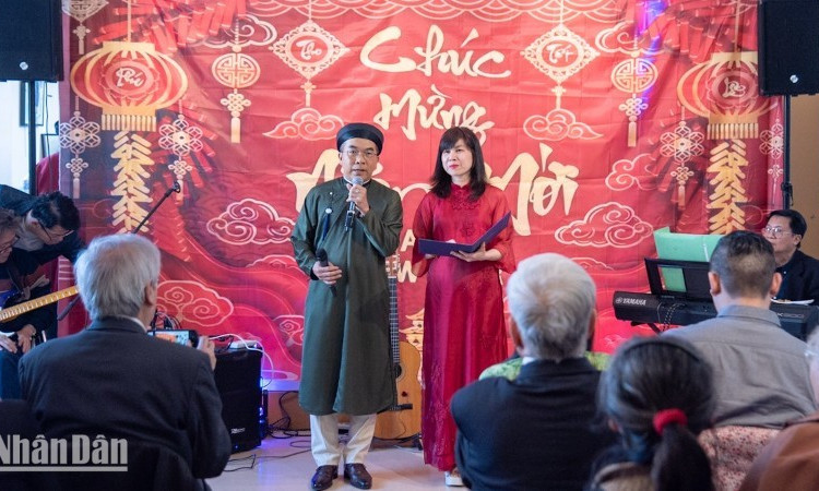 «Краски весны» ярко демонстрируют силу распространения любви к Родине и жизненную силу вьетнамской культуры вдали от родной земли. (Фото: Минь Зюи)