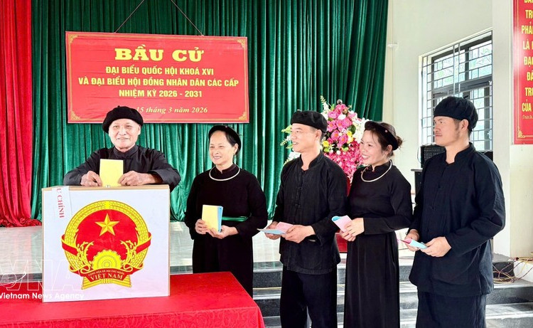 По состоянию на 22 часа 15 марта явка избирателей достигла 99,64%