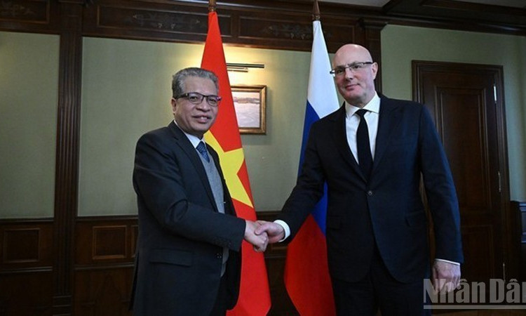 Посол Вьетнама в России Данг Минь Кхой встречается с Вице-премьером России Дмитрием Чернышенко. 